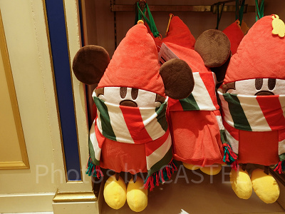 11月ディズニーランド混雑レポ：リルリンリンのブランケット