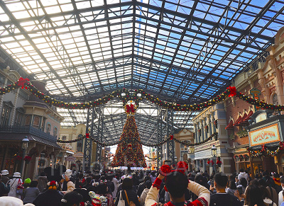 11月ディズニーランド混雑レポ：ワールドバザールのクリスマスツリー(8:20)