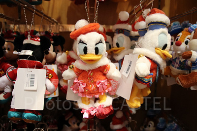 ぬいば　デイジー