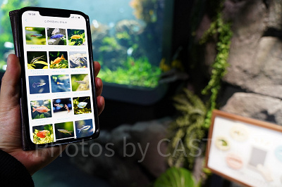 DMMかりゆし水族館の公式アプリ