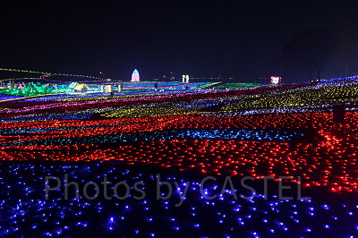 雨上がりの日は人もまばらでゆっくり散策できます