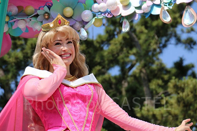 ブライア・ローズの由来