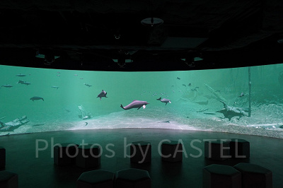 パノラマスクリーンゾーン