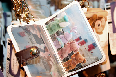 パスケース（中）