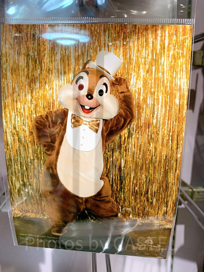 写真（チップ）