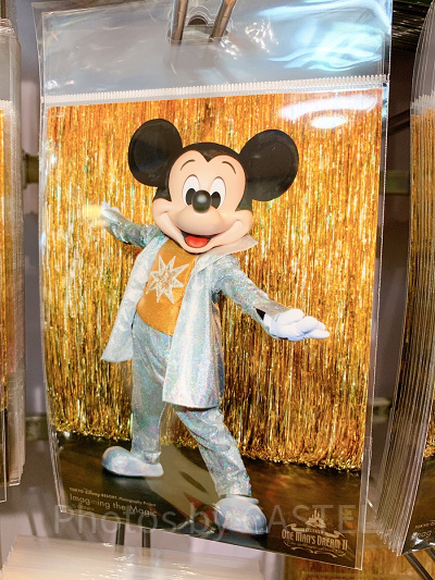 写真（ミッキー）