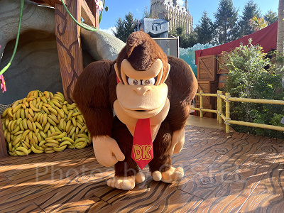 ドンキーコングの家でのフォトオポチュニティ