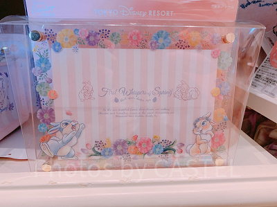 4/1発売】ディズニーイースター2019グッズ22選！とんすけ