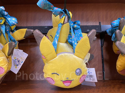 ピカチュウパスケース