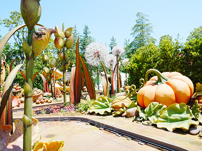 ピクシーホロウの秋のエリア