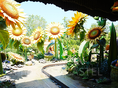 ピクシーホロウの夏のエリア