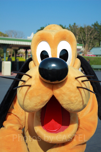 エントランスで出会ったプルート。