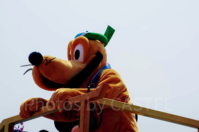 似てる？似てない？】グーフィーとプルートの違いまとめ！プロフィール