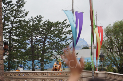 帰り間際のプルート