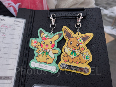 ポケパークカントーグッズ/ピカチュウ＆イーブイのキーホルダー