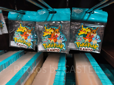 ポケパークカントー/マグネット