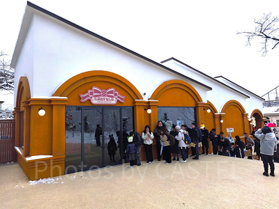 ポケパークカントー/ポケモンだいすきショップ