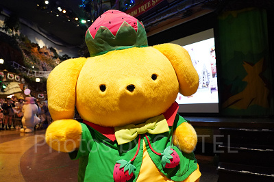 ポムポムプリン