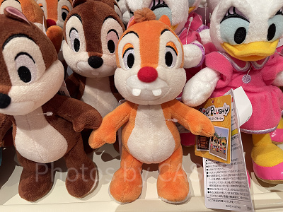 ポージープラッシー（デール）