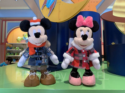 パークで販売されているポージープラッシー