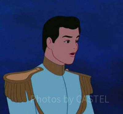 チャーミング王子