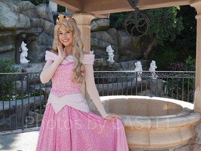 ディズニープリンセスのグリーティング徹底解説！会える場所