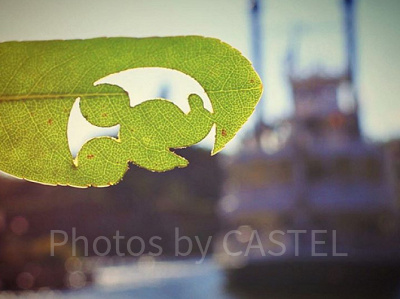 レイジングスピリッツの隠れミッキー