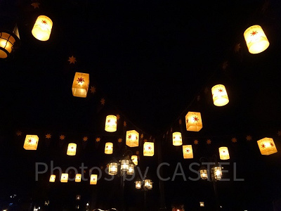 ＷＤＷにあるラプンツェルエリア