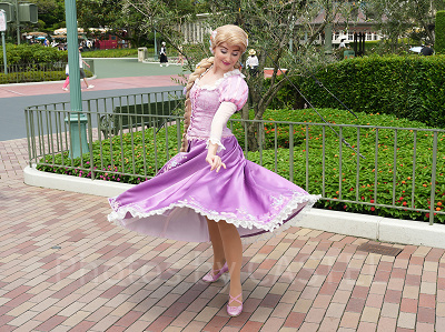 ディズニープリンセスのグリーティング徹底解説！会える場所&時間まとめ！