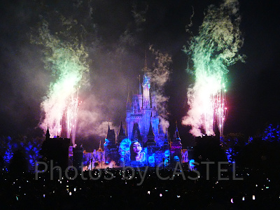 ウォルト像前の最前列から見たReach for the Stars