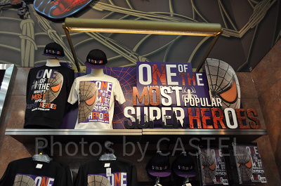 リアルグッズ（REAL GOODS)装飾／スパイダーマン