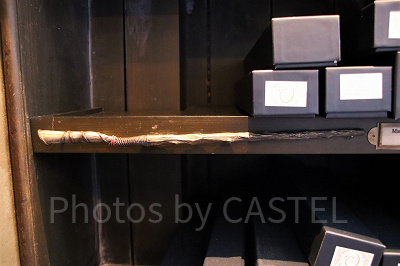 アシ（10/28～11/24）