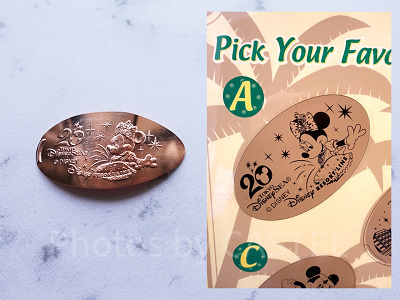 ディズニーリゾートラインで買えるディズニーシー20周年のスーベニア