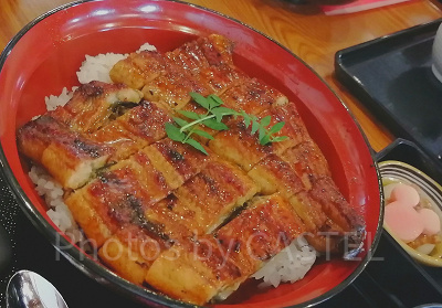 れすとらん北斎：鰻丼