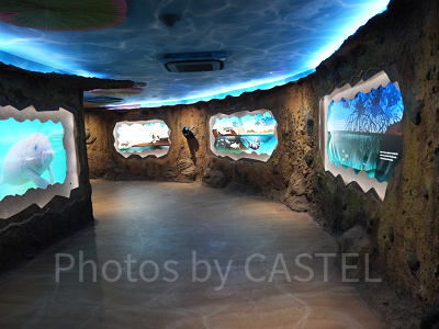 リバーワンダー：入り口