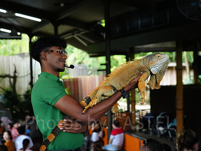 リバーワンダー：ワンス・アポン・ア・リバー（川の物語）