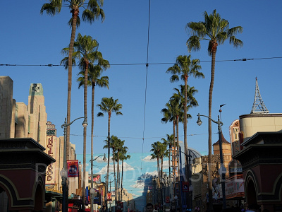 カリフォルニア・アナハイムディズニーの風景