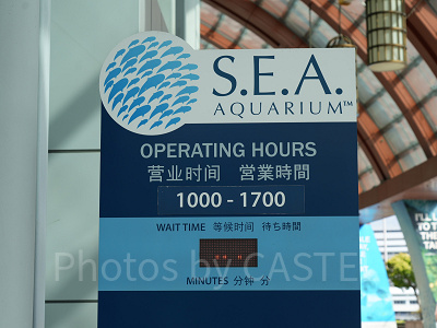 シーアクアリウム:営業時間