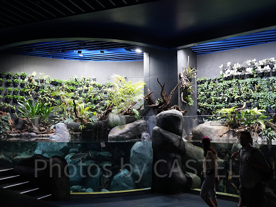 シーアクアリウム:クァーキー・アダプション