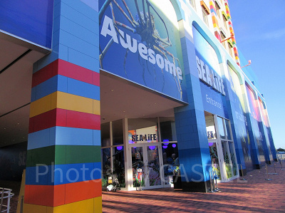 シーライフ名古屋