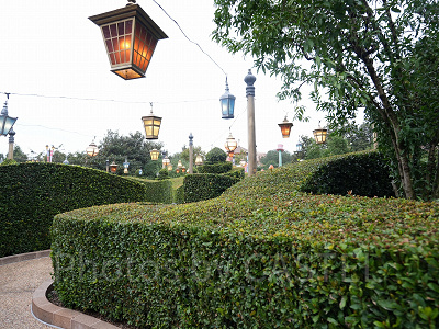 上海ディズニー：道幅が広く、敷地面積もも大きい