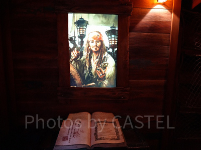 個人手配で上海ディズニーランド