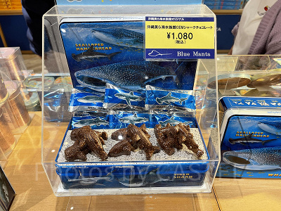 美ら海水族館のシャークチョコレート