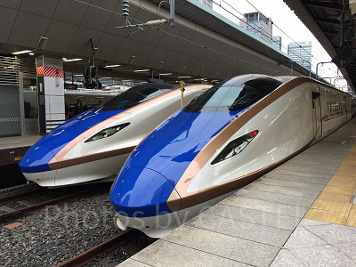 期間限定で新幹線が半額！