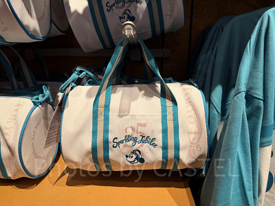 ショルダーバッグ(ディズニーシー25周年グッズ)