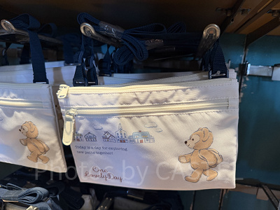 ショルダーバッグ(ダッフィーおでかけグッズ)