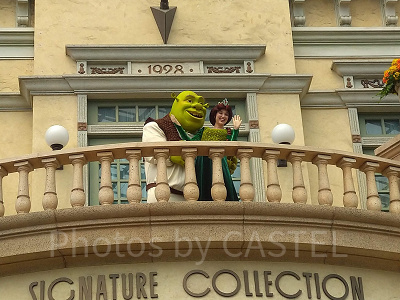 シュレックとフィオナ姫