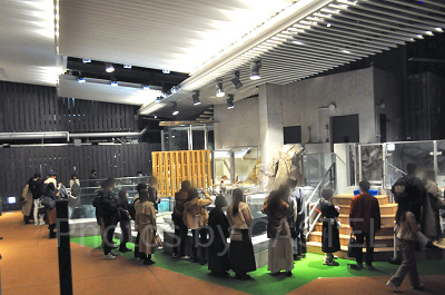 SKY SHORE　空辺の庭／神戸ポートミュージアム