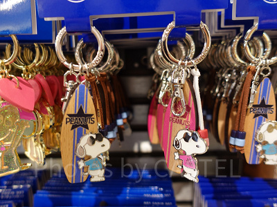 スヌーピーキーチェーンセット(サーフィン)