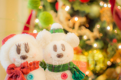 ディズニーストア ぬいもーず クリスマス コスチューム 雪だるま